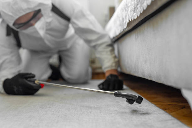 Professional Ant Control technician working in Florida, NY